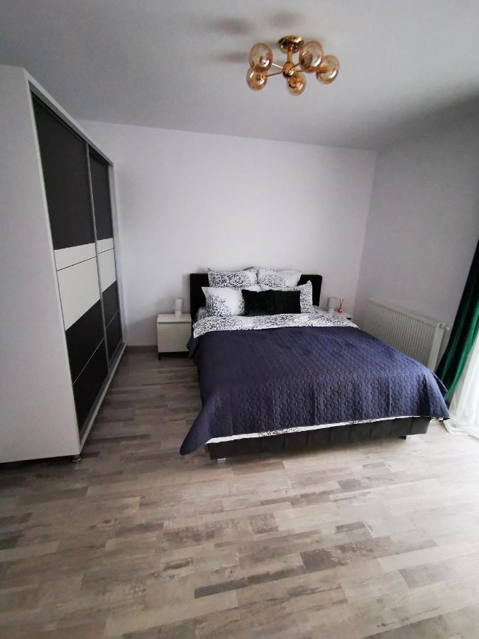 Teo Apartment Брашов Екстер'єр фото